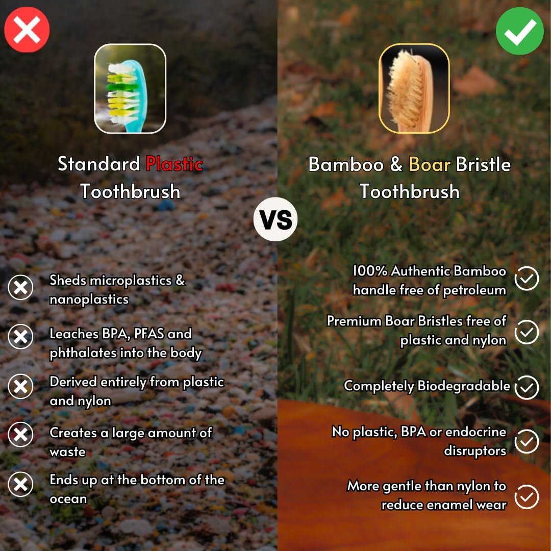 Boar Bristle Bamboo Toothbrush - VitalNest