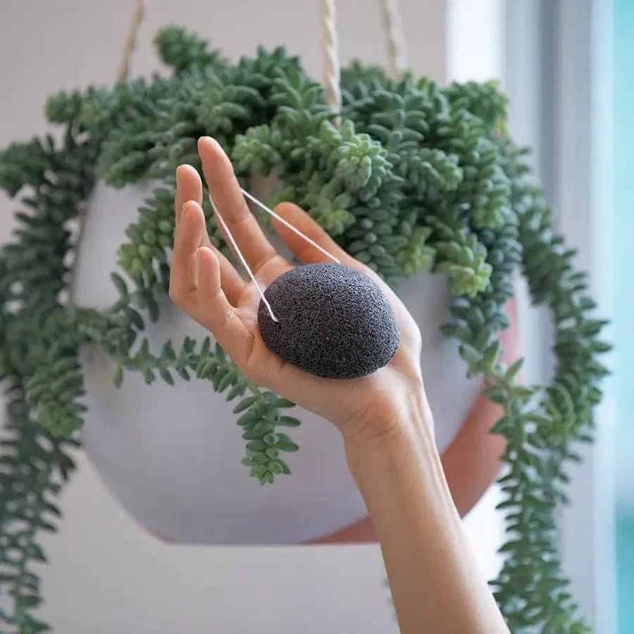 Konjac Facial Sponge - VitalNest
