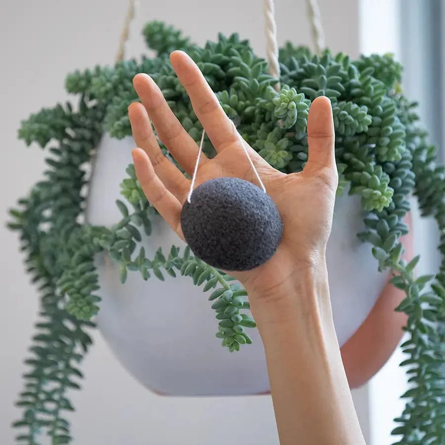 Konjac Facial Sponge - VitalNest
