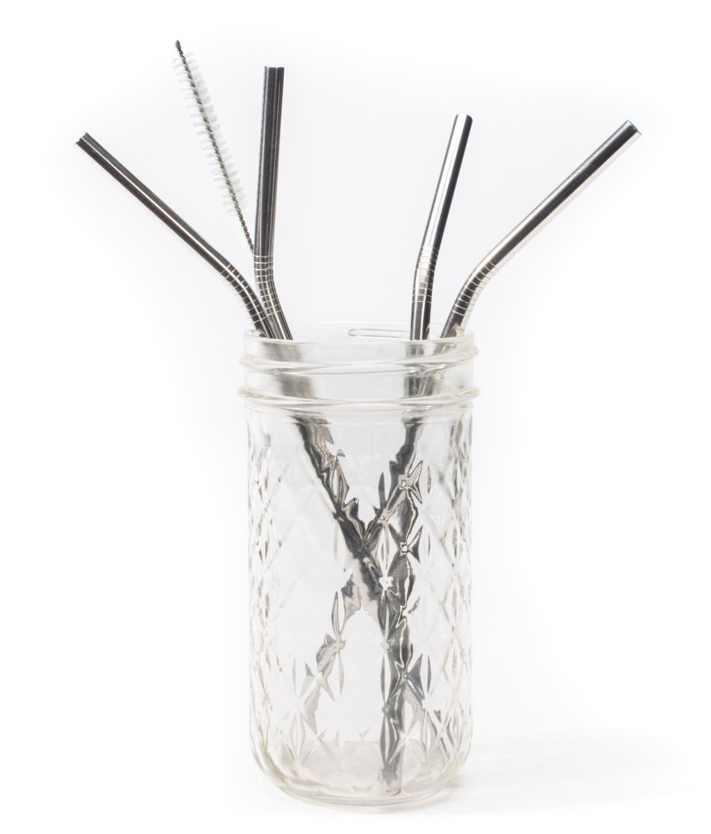 Stainless Straw Gift Set - VitalNest
