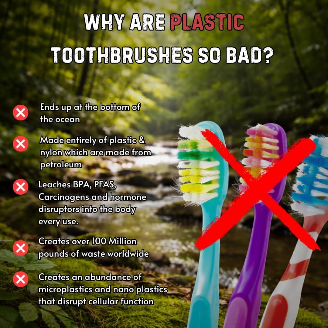 Boar Bristle Bamboo Toothbrush - VitalNest
