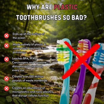 Boar Bristle Bamboo Toothbrush - VitalNest