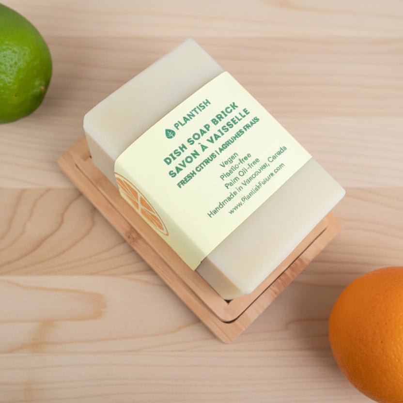 Dish Soap Brick - VitalNest