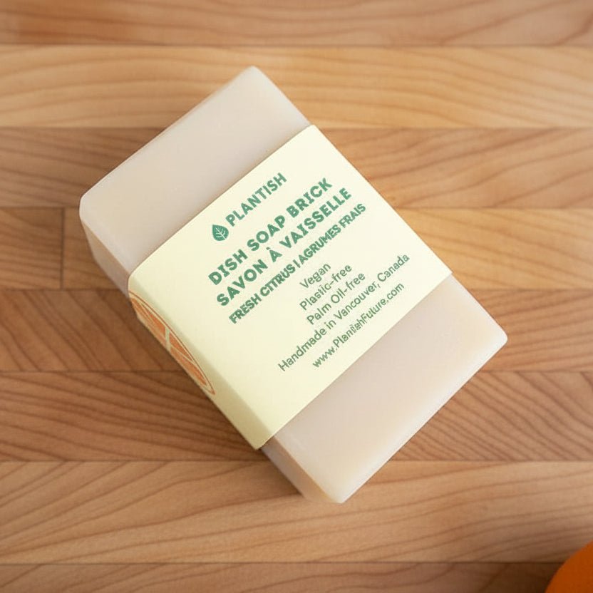 Dish Soap Brick - VitalNest