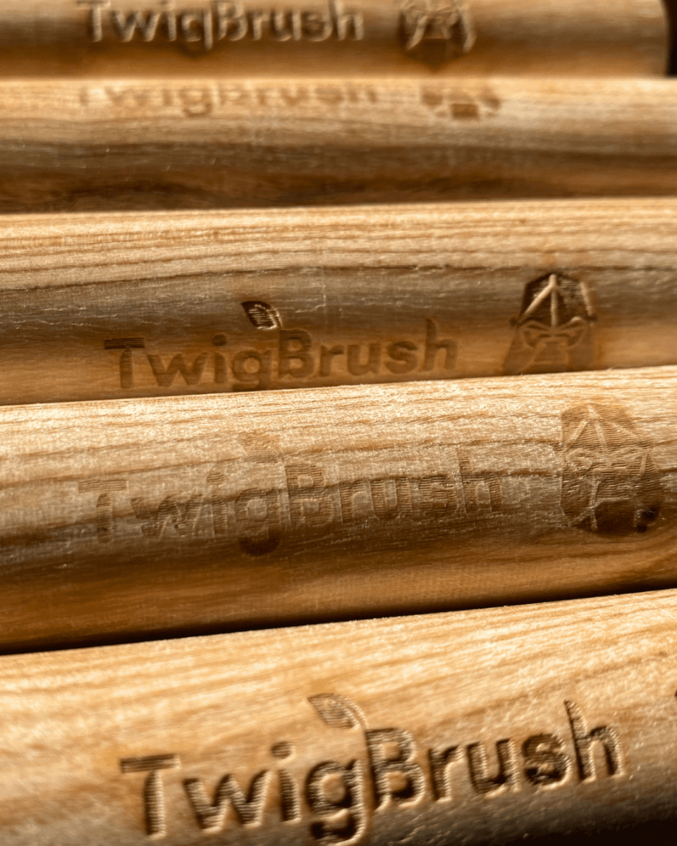 TwigBrush Bundle - VitalNest