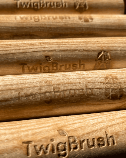 TwigBrush Bundle - VitalNest